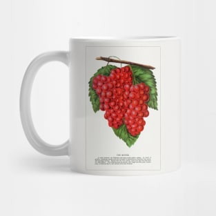 The Moyer grape lithograph (1900) Mug